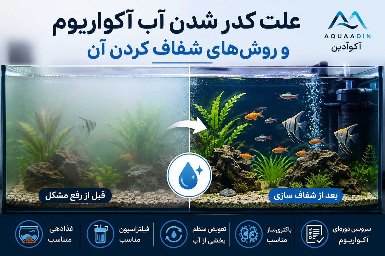 علت کدر شدن آب آکواریوم و روش‌های شفاف کردن آن