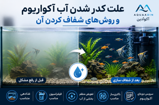 علت کدر شدن آب آکواریوم و روش‌های شفاف کردن آن