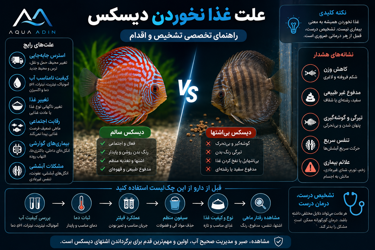 علت غذا نخوردن دیسکس؛ راهنمای تخصصی تشخیص و اقدام
