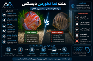 علت غذا نخوردن دیسکس؛ راهنمای تخصصی تشخیص و اقدام