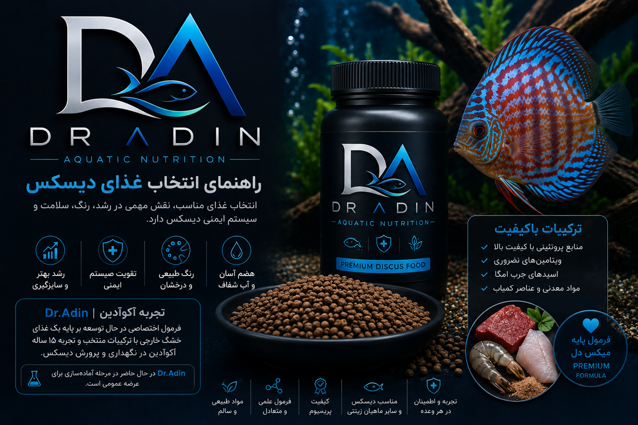 راهنمای انتخاب غذای دیسکس
