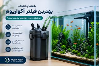 راهنمای انتخاب بهترین فیلتر آکواریوم